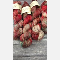 Silky Singles Lace : Koralkyst