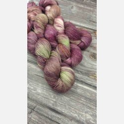 Sommer Lace : Skovb�r